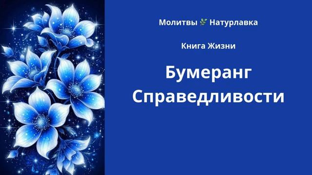 Бумеранг Справедливости