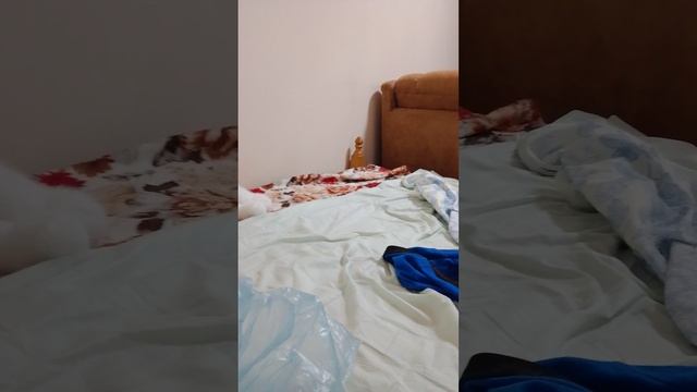 обзор на книгу Стивена Кинга четыре сезона