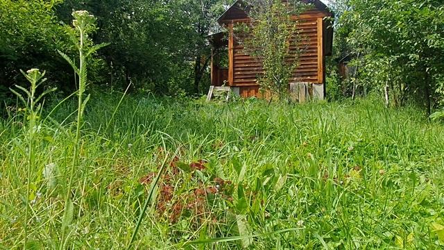 Рифмуя жизнь...