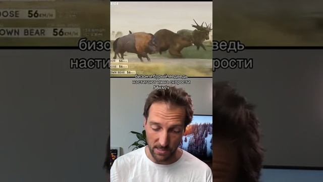 Кто бежит быстрее всех?