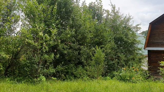 Уходят друзья в тишину...