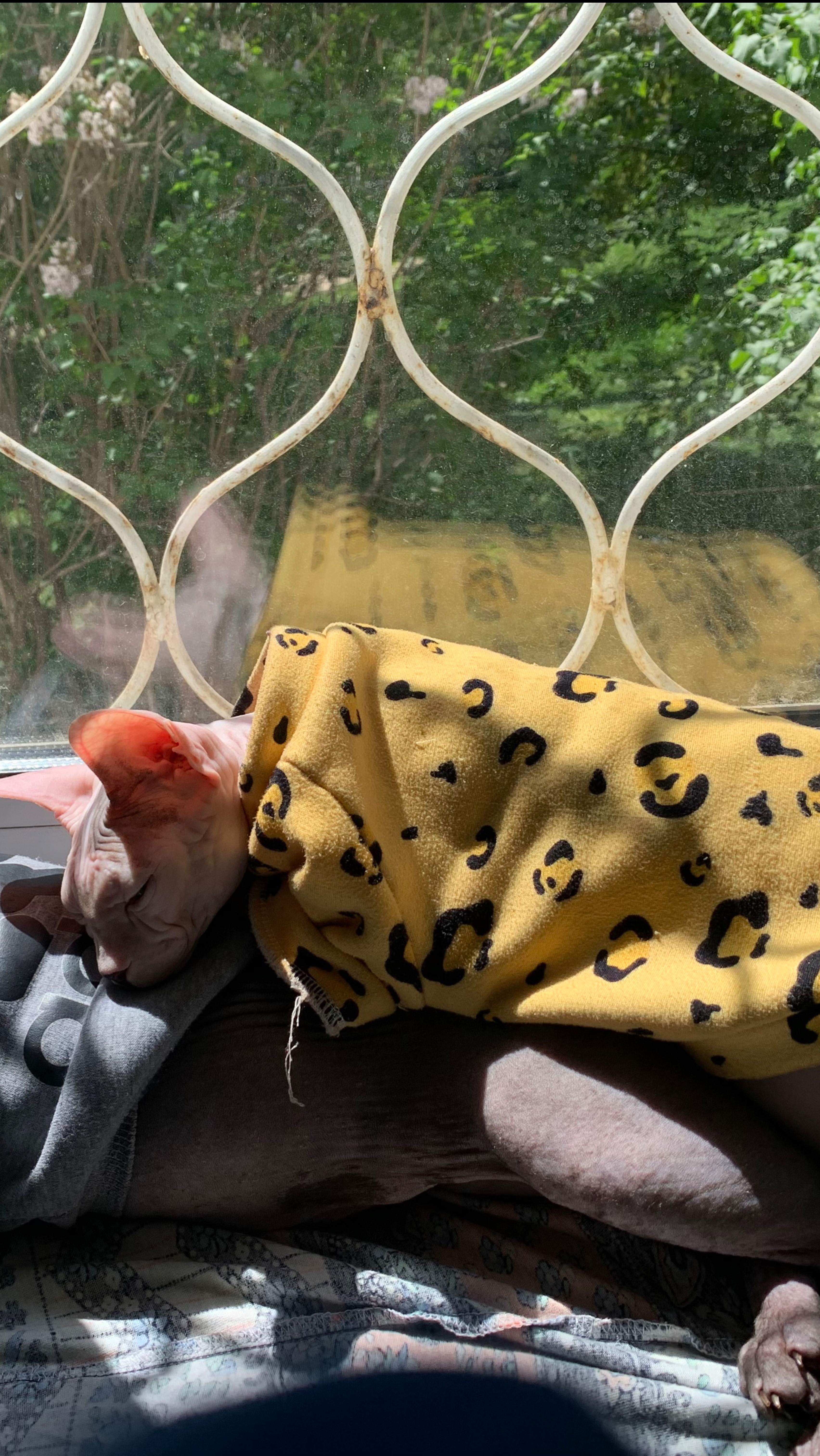 Скоро роды.