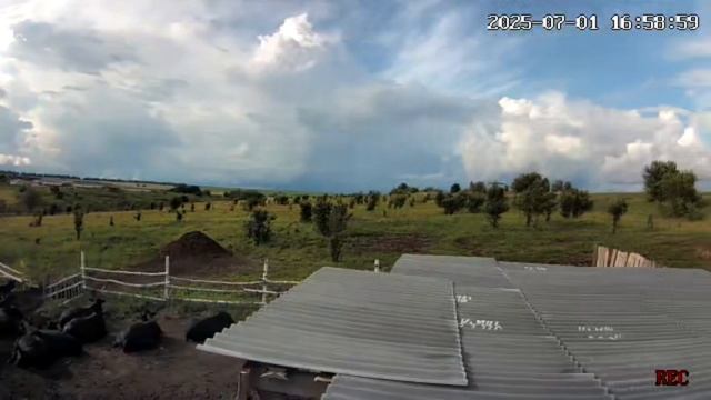 Дневной после обеденный отдых