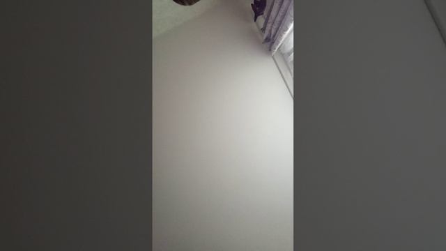 я ухожу на три недели в лагерь.......