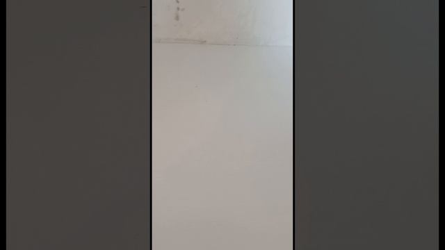 Генеральная уборка в стелаже🧹🏠