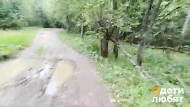 Дорога до базы