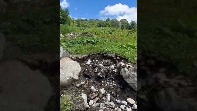 В Абхазию — на авто: куда стоит съездить и сколько это стоит