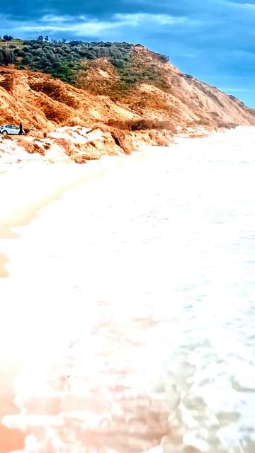 В кадре: самые удивительные события