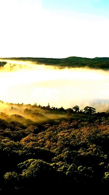 Зафиксировано!