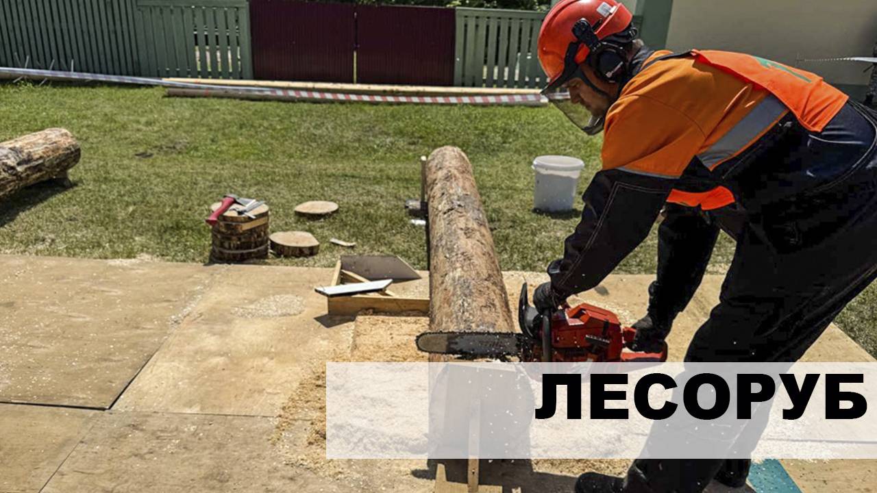Соревнования "Лесоруб-2025" собрали все структурные подразделения Светлогорского лесхоза