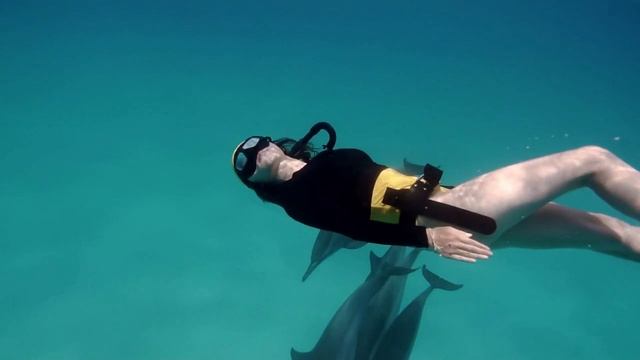 Девушка  дельфин и море