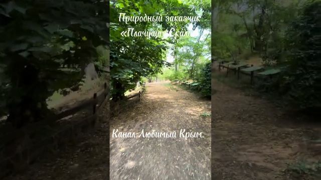 'Плачущая скала". Симферопольский район.
