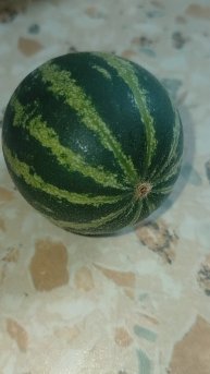 Вот это арбуууз!🍉