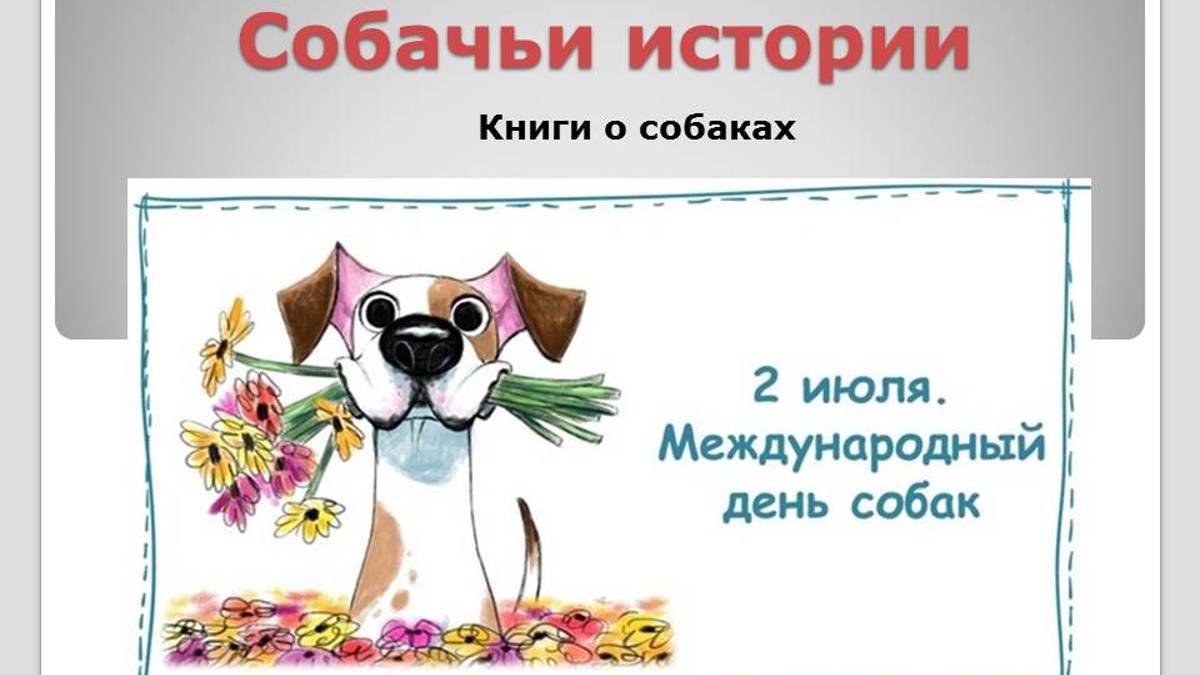 собачьи истории