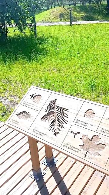 Арт объект в Сосновом бору , полное видео в профиле