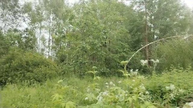 Торги на земельный участок с КН 50:04:0170307:566