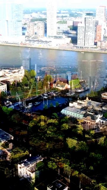 Запечатлено в нужную секунду