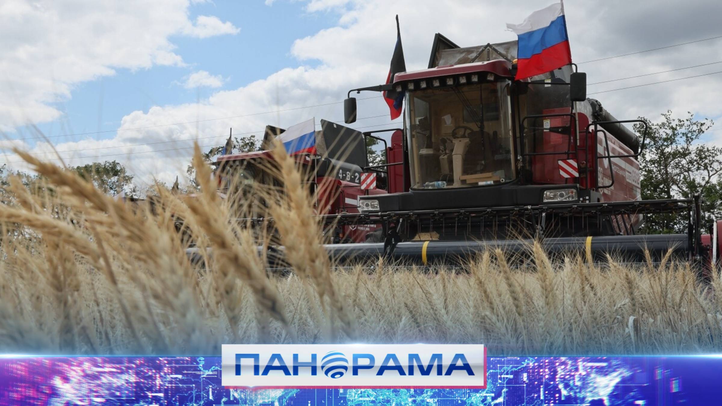 «Сможем накормить не только себя, но и соседей»: в ДНР планируют собрать 671 тыс тонн зерновых