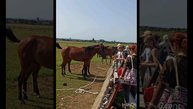 "Летний пленэр: Вдохновение, рожденное на холсте"