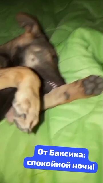 Доброй ночи,Гости канала!!!