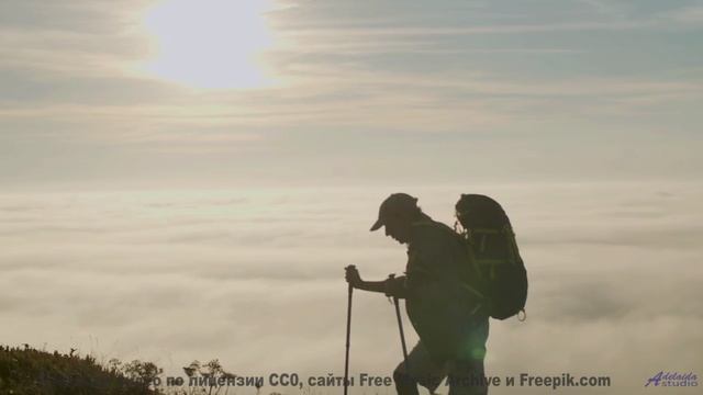 Поля наполняются жизнью вместе с этим саундом - Still Weaker than Them -- Soft and Furious -- You kn