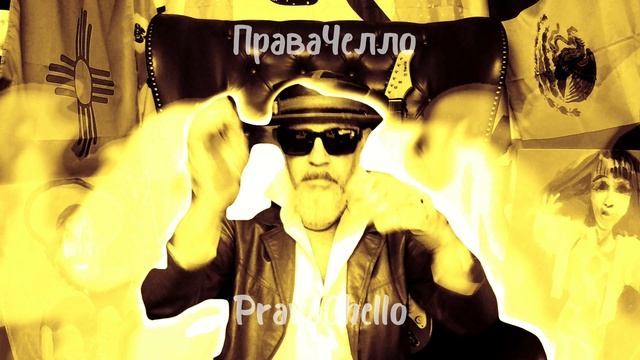 Студентка юрфака шортс