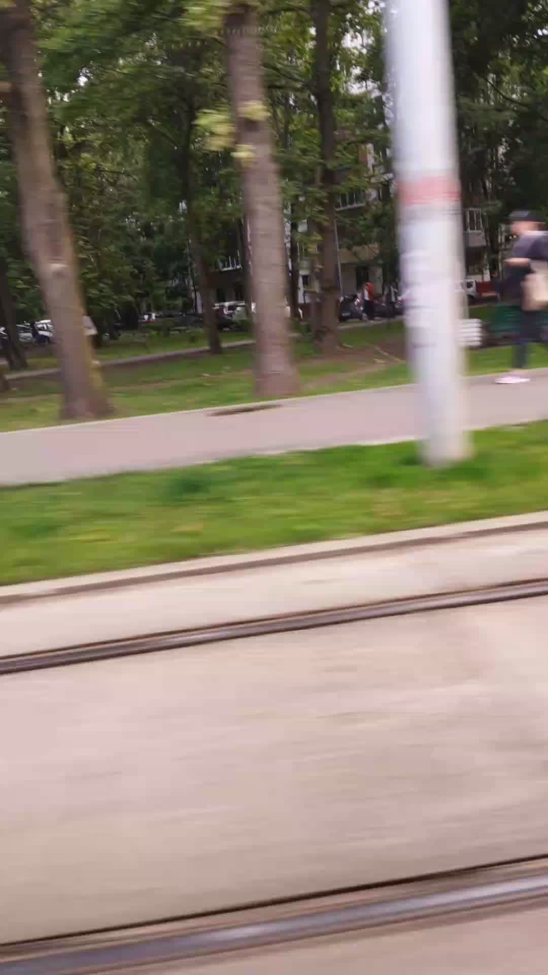 Поездки в общественном транспорте | 2-июл-2025