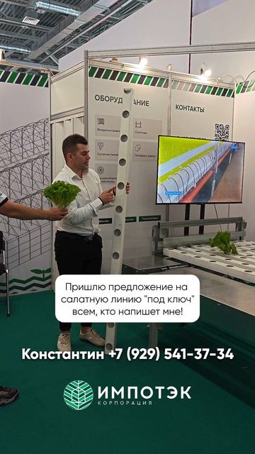 Выращивание салата на салатной линии