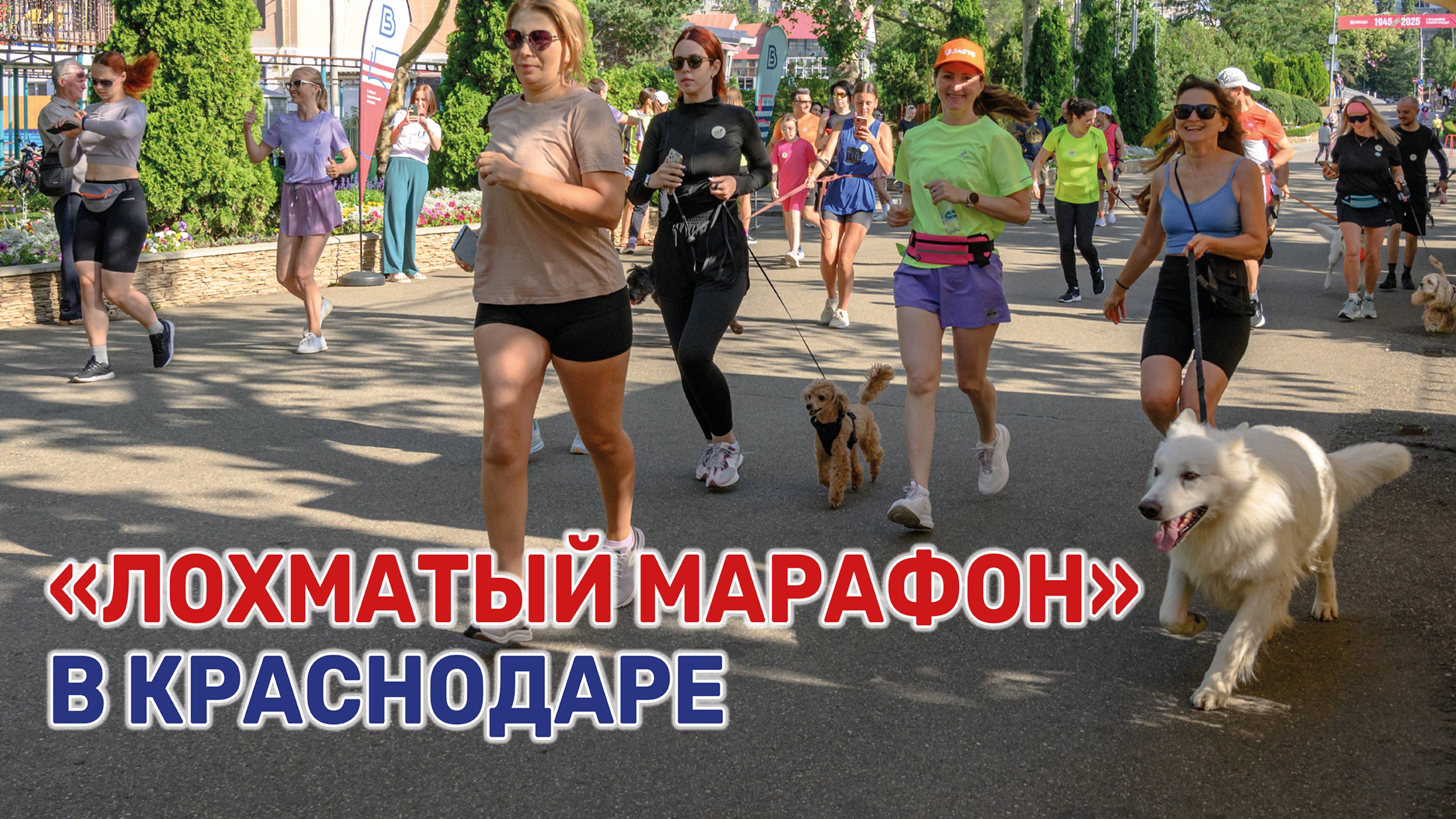 Благотворительный забег в поддержку приюта для бездомных животных провели в Краснодаре