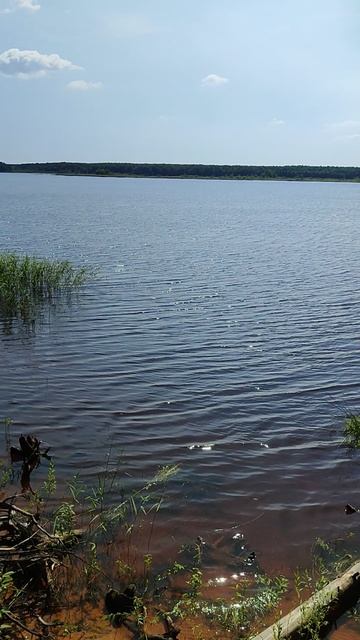Кондашка, притока Рыбинского водохранилища.