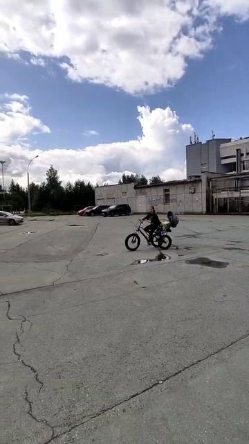 Отличный фетбайк для родителей и ребенка-инвалида