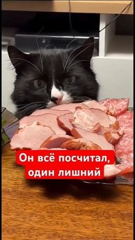 Такс, одна лишняя😂