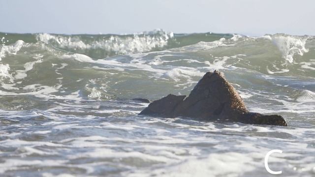 ABCD летний хит