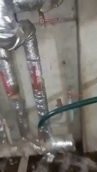 Эстонская, 37/10