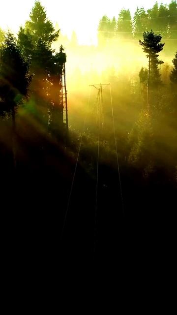 Камера запечатлела незабываемый момент