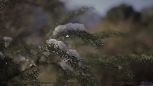 Как музыка рисует эти горы! - B Roll -- Chad Crouch -- Motion