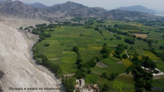 Гармония, в которой природа и музыка говорят на одном языке - The Ambulance -- Vulpiano Records Arti