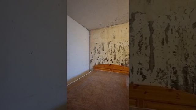 Беговая 5к1 (2к)