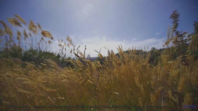 Путешествие начинается внутри себя при первых звуках - Sometimes were the Same -- Crowander -- Elect