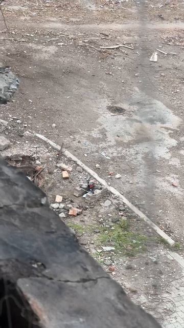 такое тоже бывает! покажите тем, кто любит запускать дроны с рук😱😱😱 #СВО #мобилизация