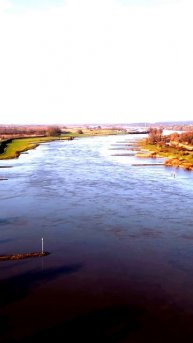 Камера поймала удивительную реакцию