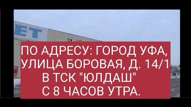 АНОНС. ЯРМАРКА ГОЛУБЕЙ И ДЕКОРАТИВНЫХ ПТИЦ В УФЕ 13 ИЮЛЯ 2025 ГОДА.