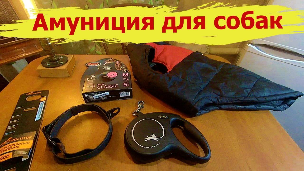 Амуниция и аксессуары для собак.