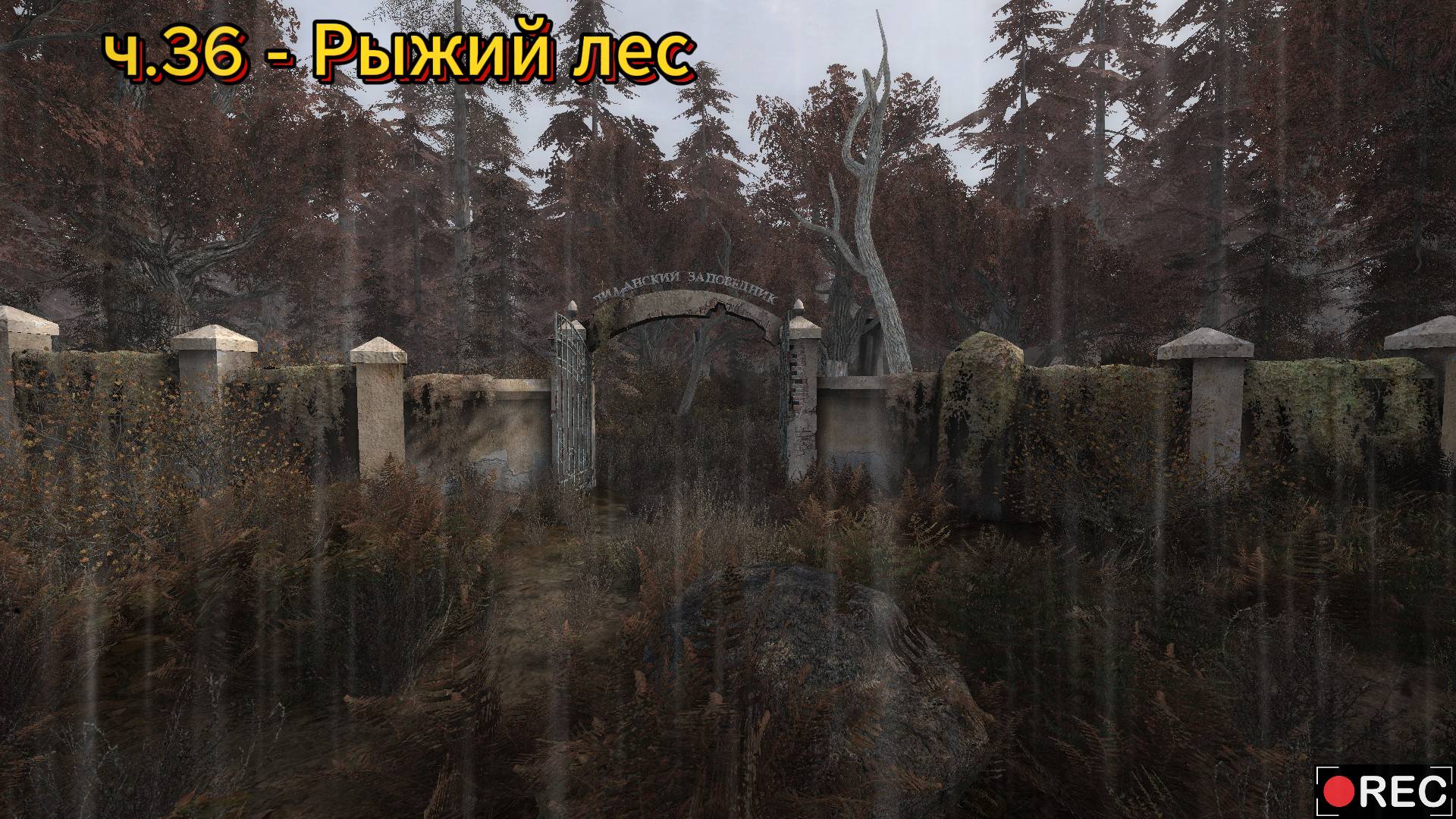 Сталкер 2 / S.T.A.L.K.E.R. 2 прохождение на русском | Рыжий лес | ч.36