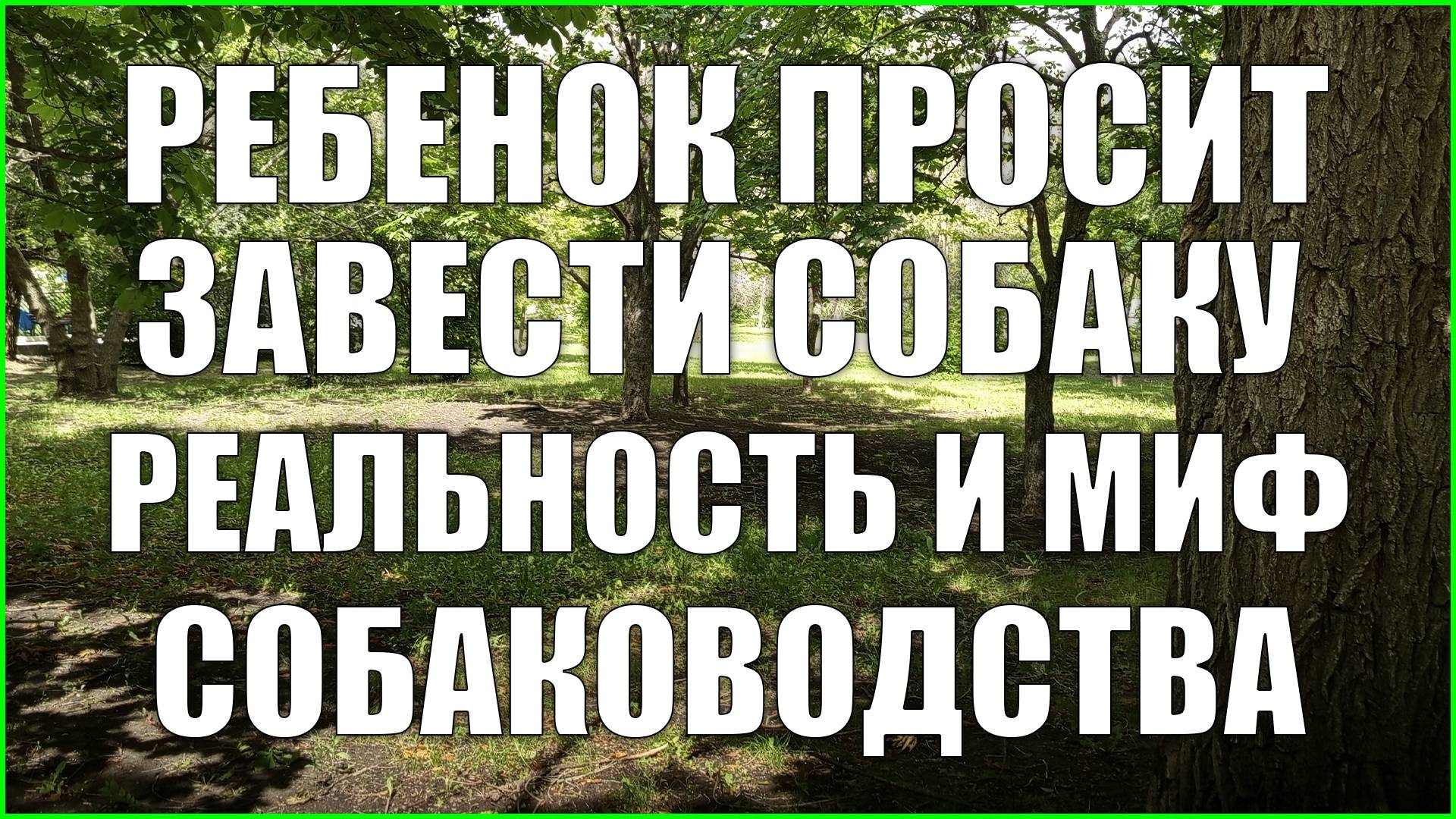 Ребенок просит собаку. Реальность и миф собаководства.