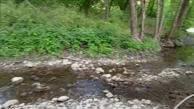 Река Бельбек в Аромате. Видео автора