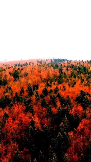 Моменты, захваченные камерой