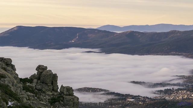 Леса качаются, как море, под такую мелодию - Ants In My Pants -- SUPERARE -- II