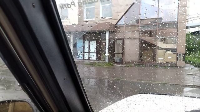 Сдаем макулатуру в 2023 году. Спасаем дерево. Реальный заработок на вторсырье