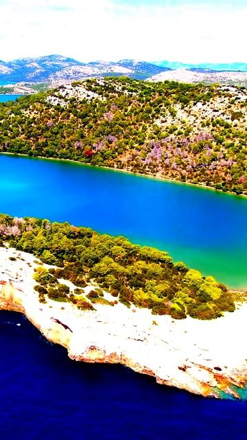 В кадре: самые удивительные события